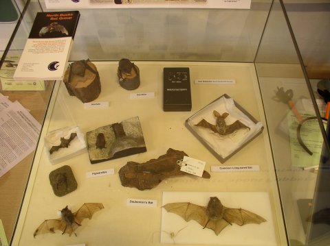 Museum display cabinet